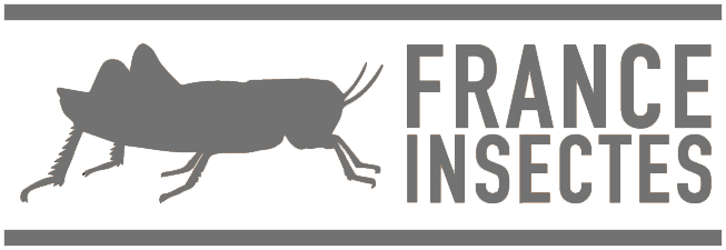 logo france insectes gris